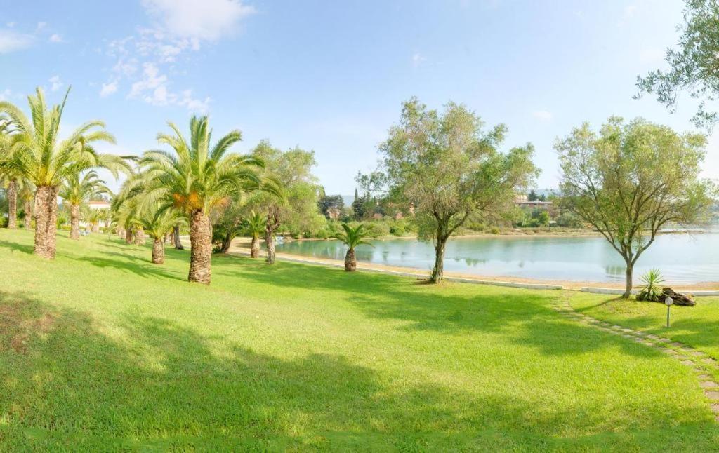 Palm Tree Corfu Apt. Danilia Bagian luar foto